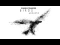 Imagine Dragons - Birds (Acoustic)