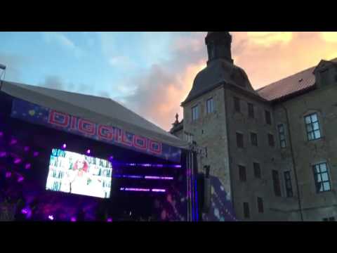 Purple Rain Linda Pritchard Diggiloo 2016