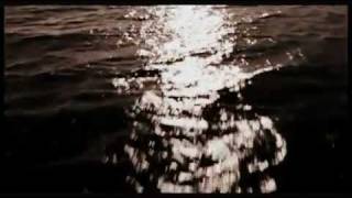 White Apple Tree - Snowflakes