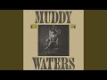 Clouds In My Heart - Muddy Waters - Topic Clouds In My Heart