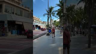 ライブ ハイライト