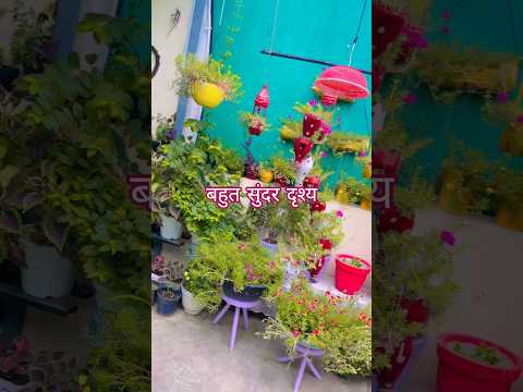 kaise tumhe#youtubeshorts#viralsong #flowers