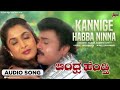 Kannige Habba Ninna Audio Song Andhra Hendti Madan Mallu Ramya Krishnan Rajesh Krishnan