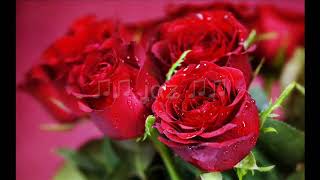 The Delfonics / Over and Over