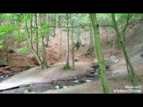 Besuch bei den Apenteichquellen, am 31.5. 2020