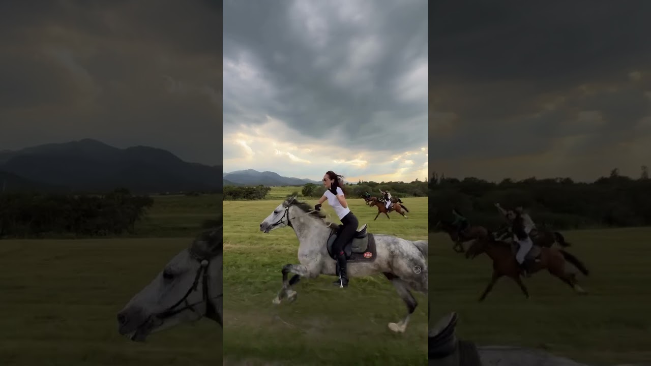 #horse #арабскиелошади #automobile #лошадки #equestrian #моялошадь #лошади #продажалошадей