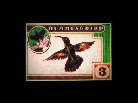 Hummingbird - I Don't Know Why I Love You