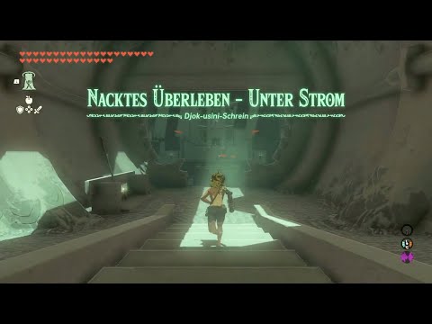 Djok Usini Schrein / Joku-usin Shrine - Weg und Lösung : TOTK