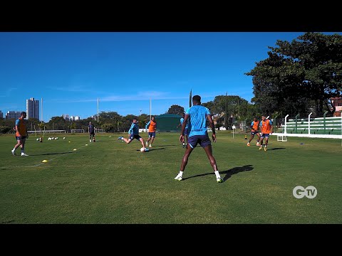 HOJE JÁ TEVE GOL! | GO TV