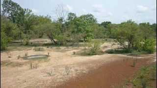 preview picture of video 'Safari in Mole National Park - Ghana'