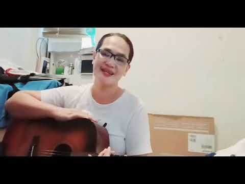 Never Say Die - Dixie Chicks
