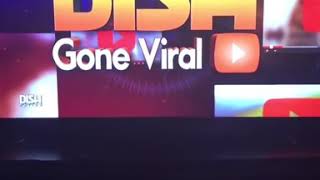 Superbitch feature on dish nation