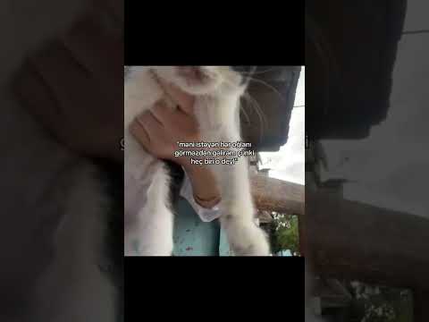 #keşfet #fyp #azerbaijan #baku #keşfetteyiz #itzy #midzy #kesfet