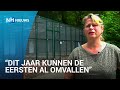 Dierenopvangcentra in grote financiële problemen door coronacrisis