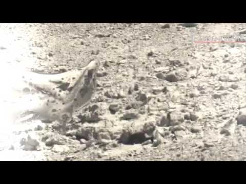 Una leyenda más de nuestra hermosa ciudad,LA ANIMITA