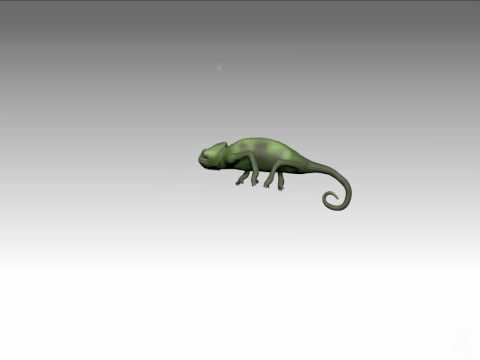 Chameleon Model