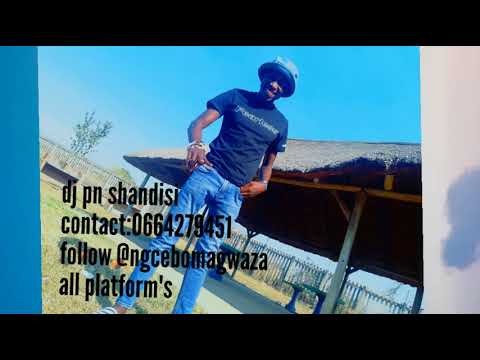 house vibes mix by dj pn shandisi ft caiiro,black motion , regalo etc