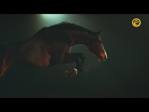 Эквус: История лошади