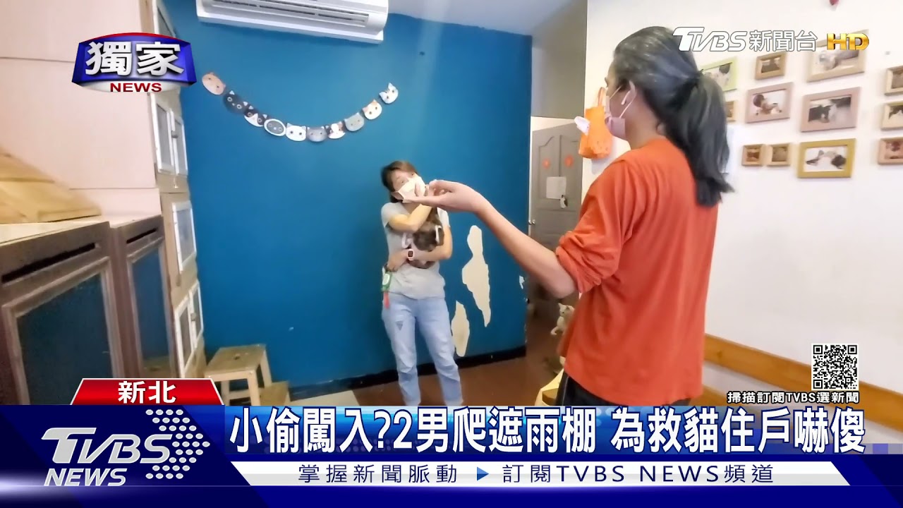 你們在幹嘛？2男私闖公寓救貓　險遭誤會