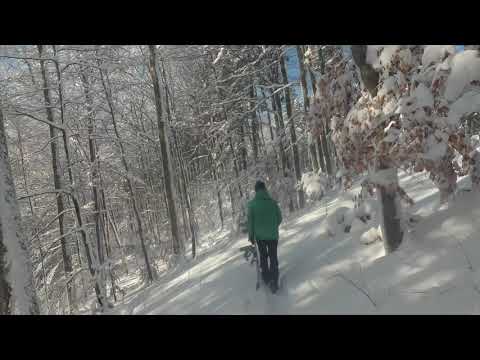 Heiligenberg nach Frickingen Tag 1