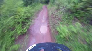 Upper Penn and Cave trails after some rain.