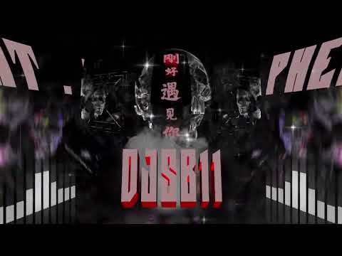 DJ SB11  刚好遇见你 ElectroBounce 🫂