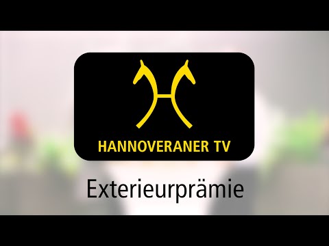 Hannoveraner TV: Exterieurprämie