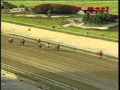 Resumen Sábado, 25 de Octubre de 2014 - La Rinconada