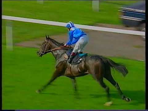 1992 Queen Elizabeth II Stakes Lahib Includes Replay