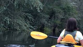 preview picture of video 'Waccamaw River  Kayak -  Longs, SC'