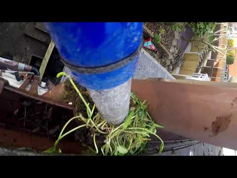 Gleamx Gutter & Roof Cleaning video.