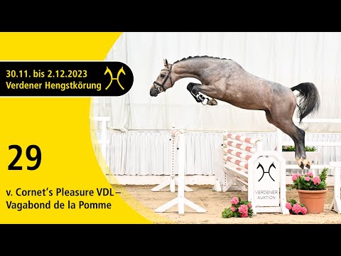Verden Stallion Licensing 2023 - Jumping - Dec. 1/2- No. 29 Stallion by Cornet's Pleasure VDL