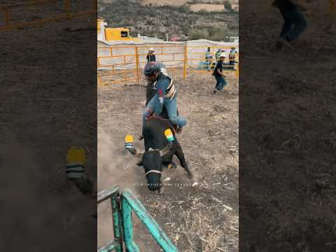 LO CONECTO CON LA CORNAMENTA