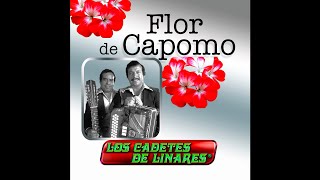 Flor De Capomo - Los Cadetes de Linares