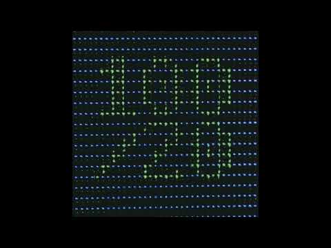 Loopert Pumpkin - Guttersniper