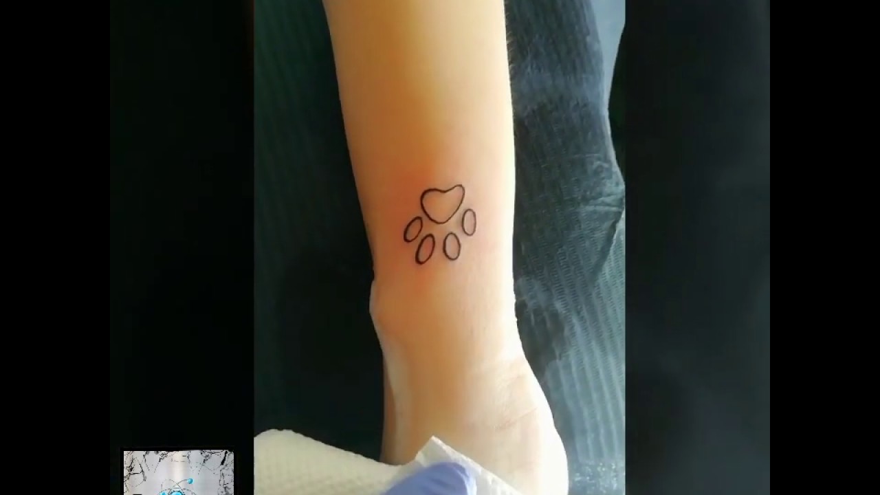 Watch Now Tatuaggio zampetta cane Tatuaggio zampetta cane