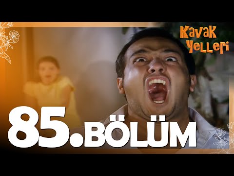 Kavak Yelleri 85. Bölüm - FULL Bölüm