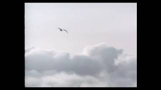 Emperor - An Elegy of Icaros