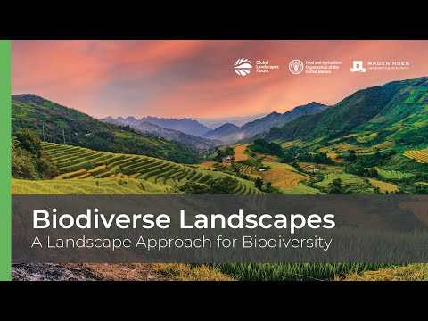 Biodiverse Landscapes – A Landscape Approach for Biodiversity