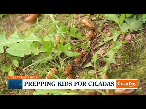 Getting children set for cicada season!