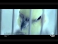 Gummy - I'm Sorry (Feat. T.O.P) (JAPAN)