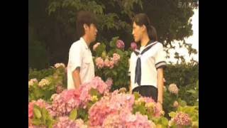 Download lagu crying out love -  Colorblind mp3 Download lagu crying out love -  Colorblind mp3