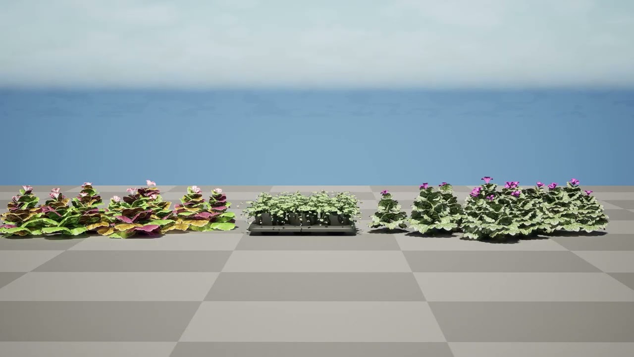 Ground Ivy Vegetable Pack 3D Model