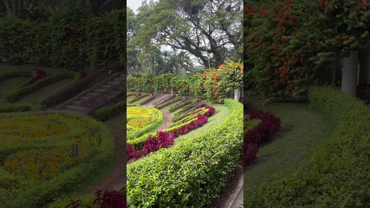 YouTube Short thumbnail