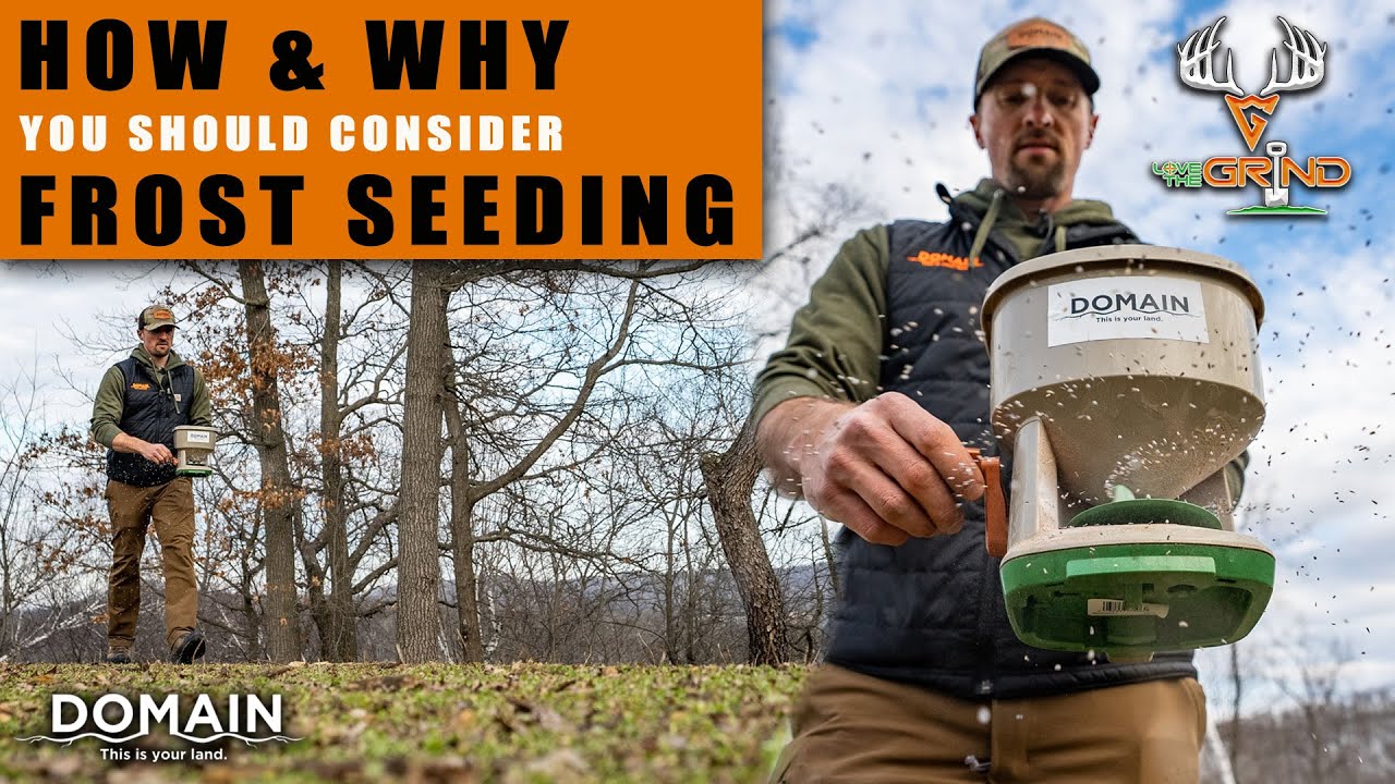 HOW & WHY You Should Consider FROST SEEDING This Spring