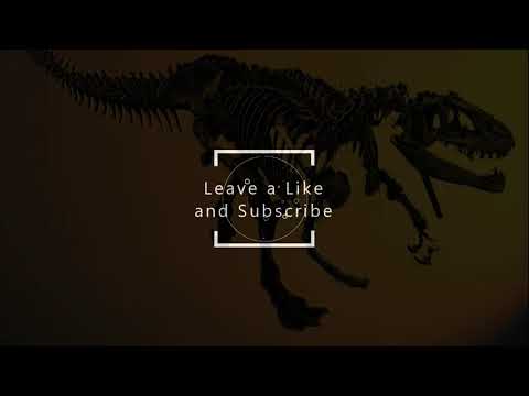 Wingspan strategy guide.