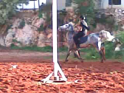 Nader El Hachem AL Badawi TRIBE '3oter lleil"