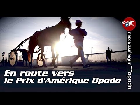 EpiqE Series, En route vers le Prix d'Amérique Opodo