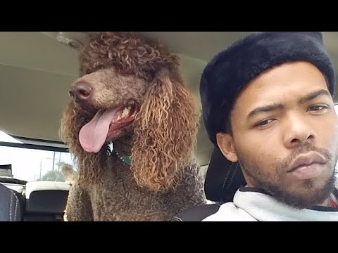 Keep It Cherry - TysonCrookmind Feat. JOE MOSES