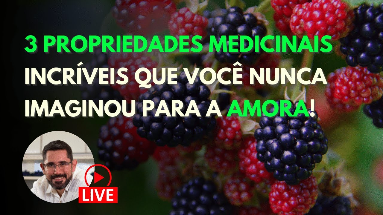 3 propriedades incríveis que você nunca imaginou para a amora!